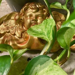 Meet your Posher, Grey